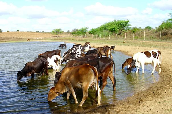 Executivo propõe lei que isenta agropecuristas de pagar pelo uso da água