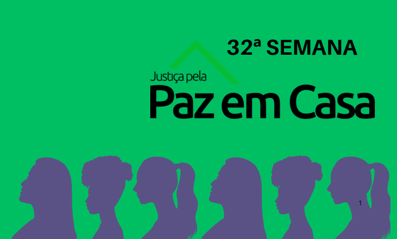 Judiciário piauiense divulga relatório da 32ª Semana da Justiça pela Paz em Casa