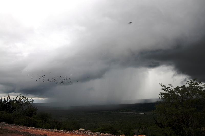 Semarh lança plataformas com dados em tempo real sobre chuvas e qualidade da água no Piauí