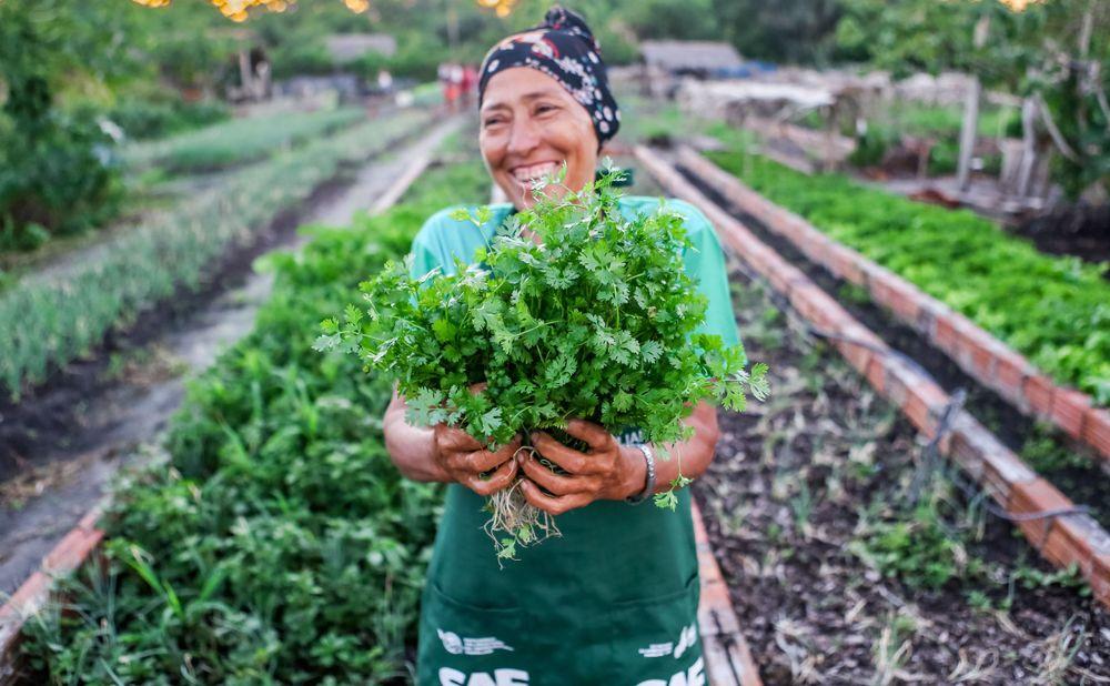 Deputado Francisco Limma ressalta importância do Programa Piauí Sustentável e Inclusivo