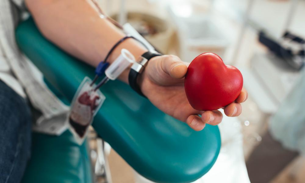 Indicativo que converte multas de trânsito em doação voluntária de sangue