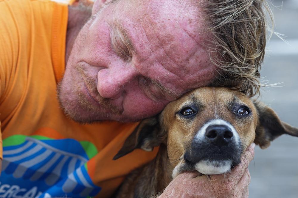 Leis aprovadas na Alepi buscam fortalecer combate a crime contra animais