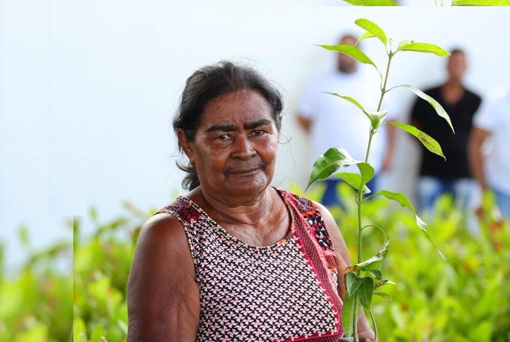Semarh intensifica ações do ProVerde e distribui mudas no Vale do Rio Guaribas