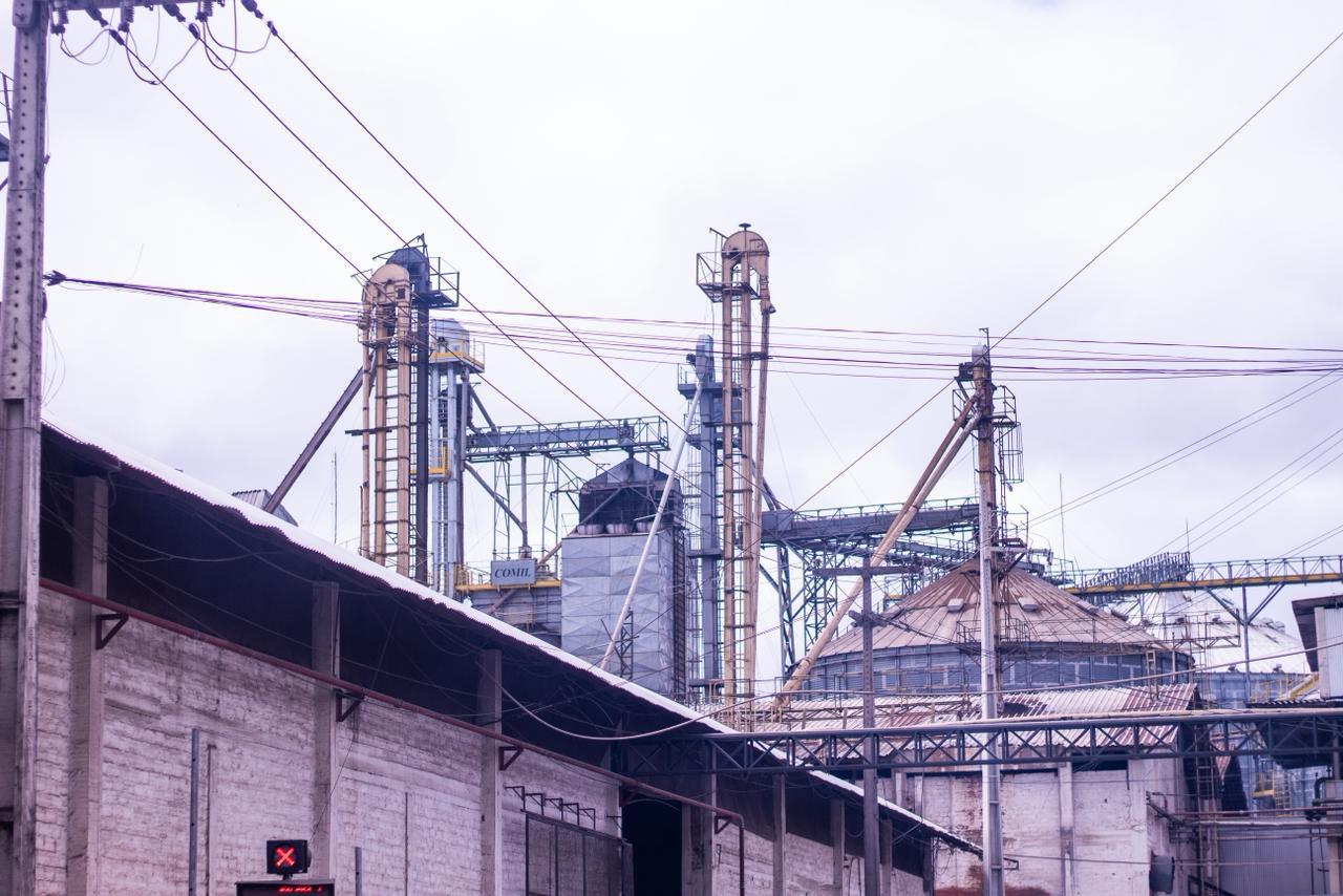 Indústria piauiense alcança 300 mil toneladas de soja processadas por ano