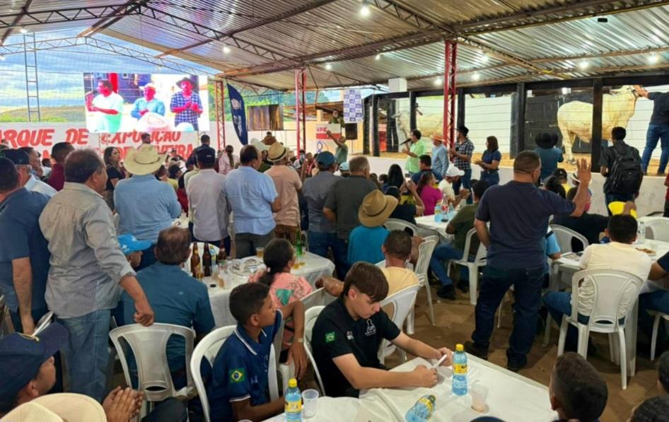 Leilão de Gado de Cria e Recria é sucesso em Simplício Mendes