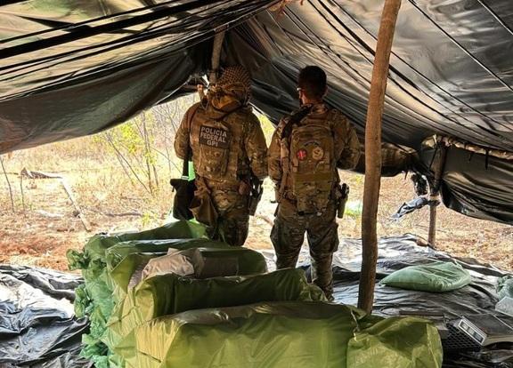 Polícia Federal prende oito suspeitos durante erradicação de maconha no Piauí