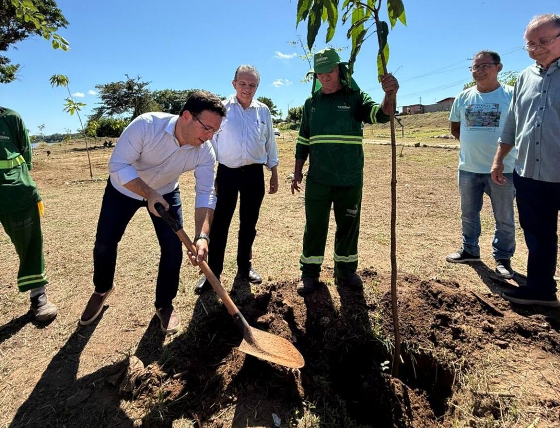 Reflorestamento na zona Norte de Teresina une órgãos públicos e beneficia comunidade