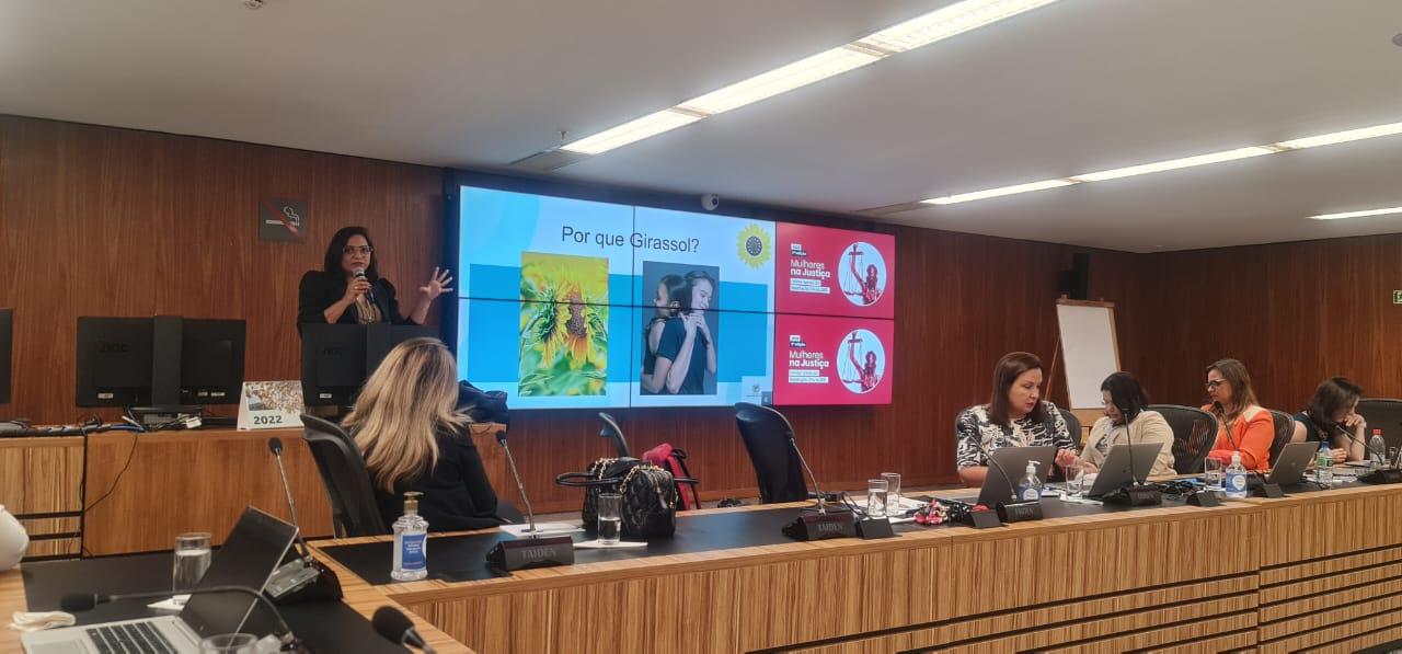 TJPI promove encontro anual voltado à proteção de mulheres do Judiciário
