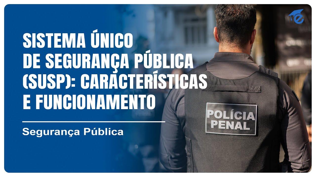 Dos 224 municípios do Piauí, apenas dez possuem Secretaria de Segurança