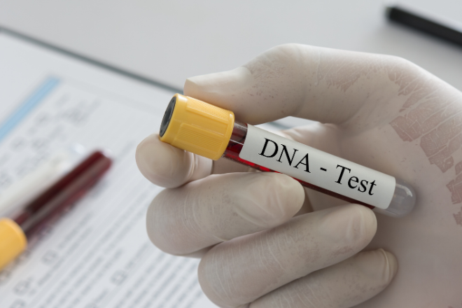 TJPI vai oferecer exames de DNA gratuitos e reconhecimento de paternidade