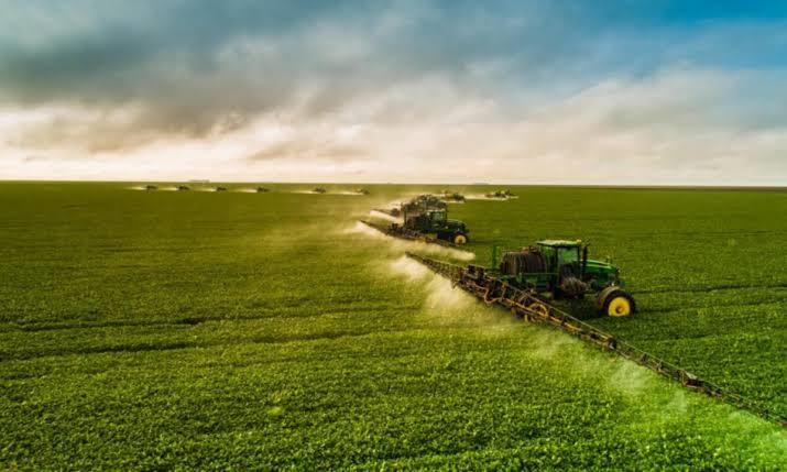 Agro coloca quatro municípios do cerrado entre as maiores economias do Piauí