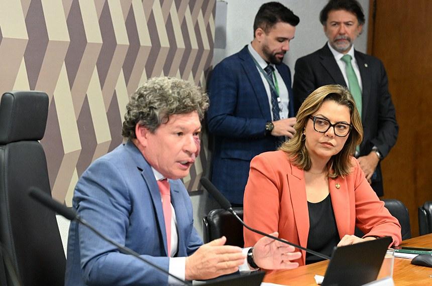 Relatora vai apresentar parecer da MP da ‘taxa das blusinhas’ na segunda (31)