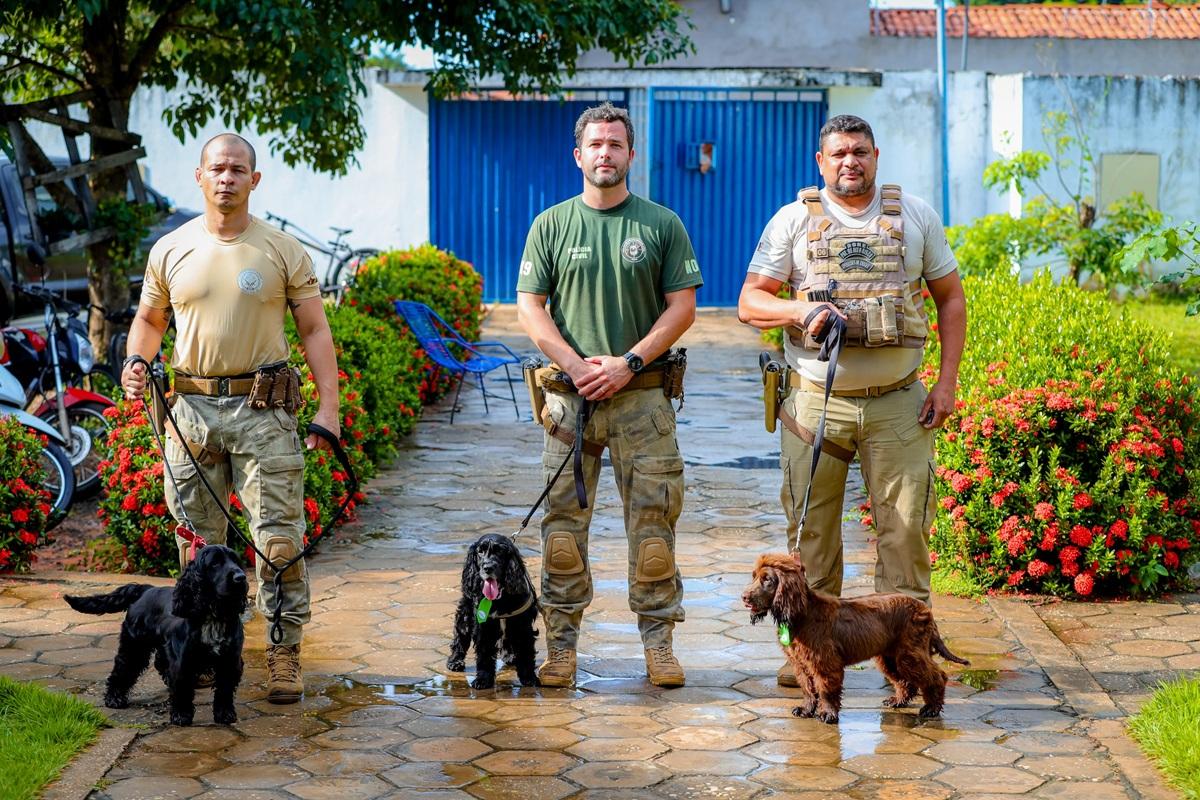 Cães vão às escolas em Timon para ajudar na prevenção à droga e ao crime