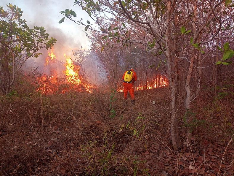 Piauí registra menor número de queimadas para setembro em uma década