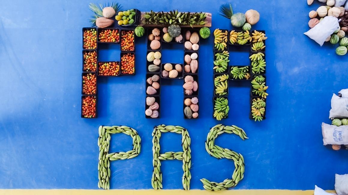 SAF entrega 35 toneladas de alimentos da agricultura familiar em Teresina nesta quinta (22)