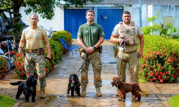 Cães policiais vão às escolas de Timon para ajudar a prevenir o envolvimento com a droga e o crime