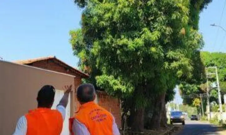 Defesa Civil contabiliza 45 ocorrências em agosto com destaque para árvores