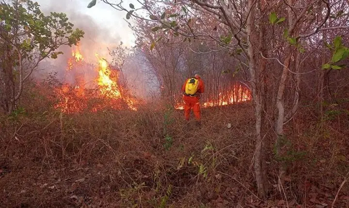 Piauí registra menor número de queimadas para setembro em uma década