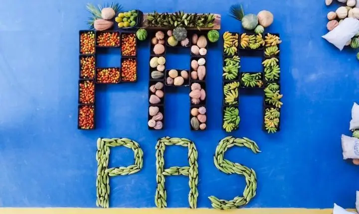 SAF entrega 35 toneladas de alimentos da agricultura familiar em Teresina nesta quinta (22)