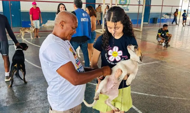 ”Saúde em 4 Patas” já atendeu mais de 2 mil animais e reforça alerta para vacinação de cães e gatos em Timon